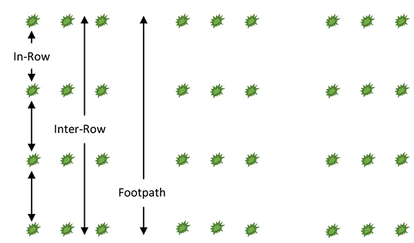 Types of cultivation Types of cultivation